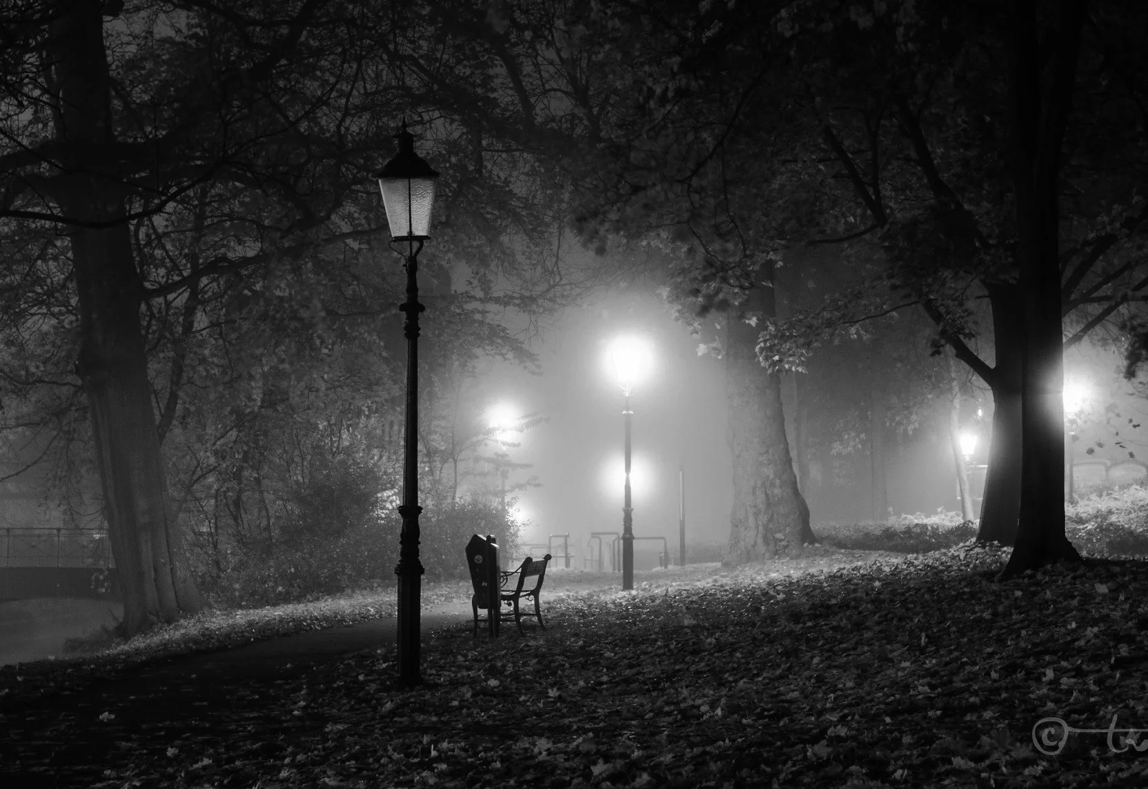 B&W-background.jpg