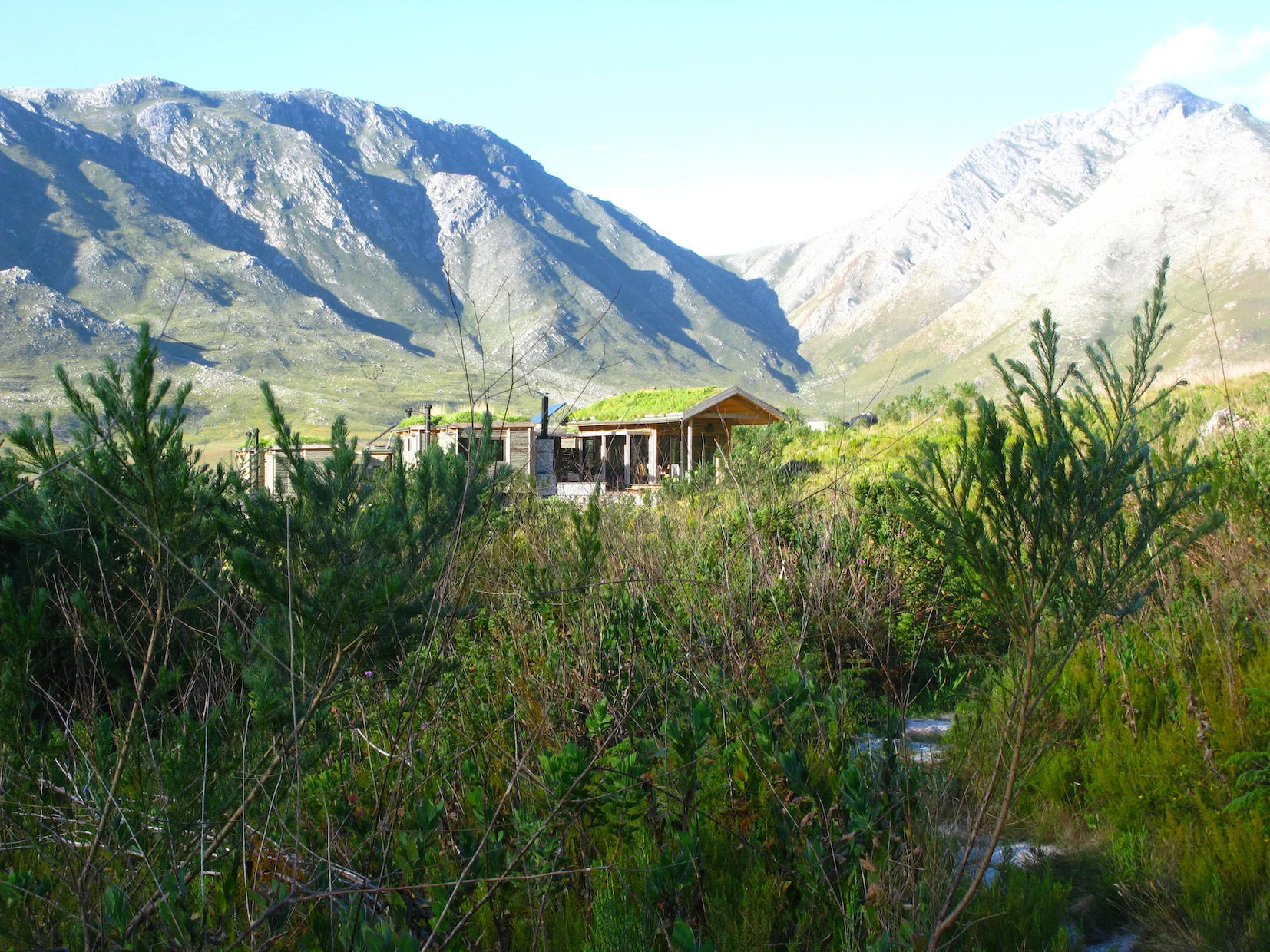  MARTIN HAHN / Oude Bosch 