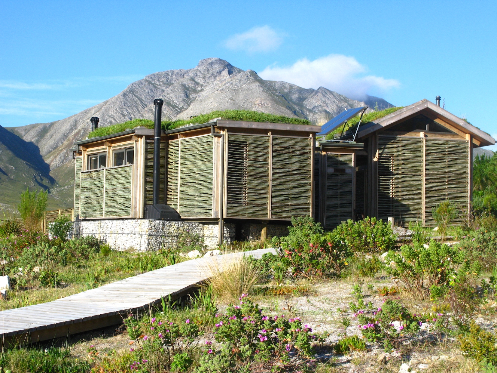  MARTIN HAHN / Oude Bosch 