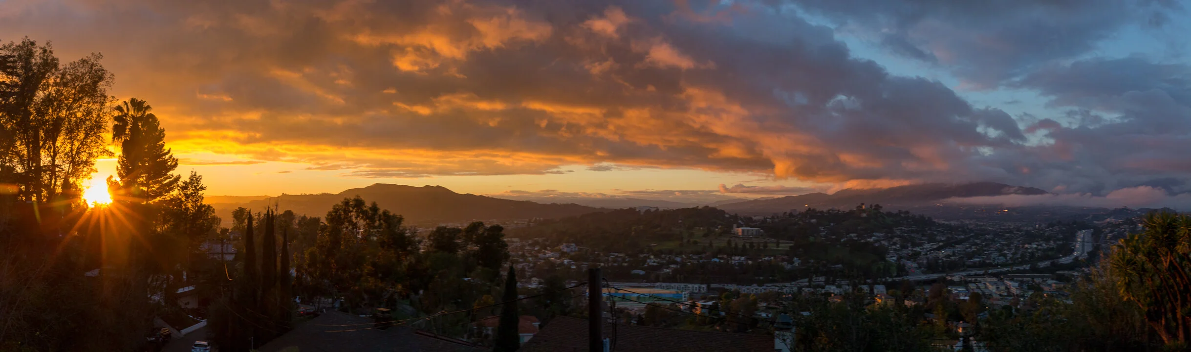 Tanne Willow__N0B7424-Pano.jpg