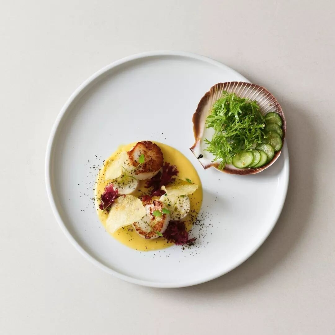 A new&nbsp;dish from the CATALINA kitchen: Pan Seared Abrolhos Island Scallops!&nbsp;Indulge in scallops, paired perfectly with spanner crab mousse and finished with a flavourful miso hollandaise. Accompanied by a refreshing sesame &amp; cucumber sal