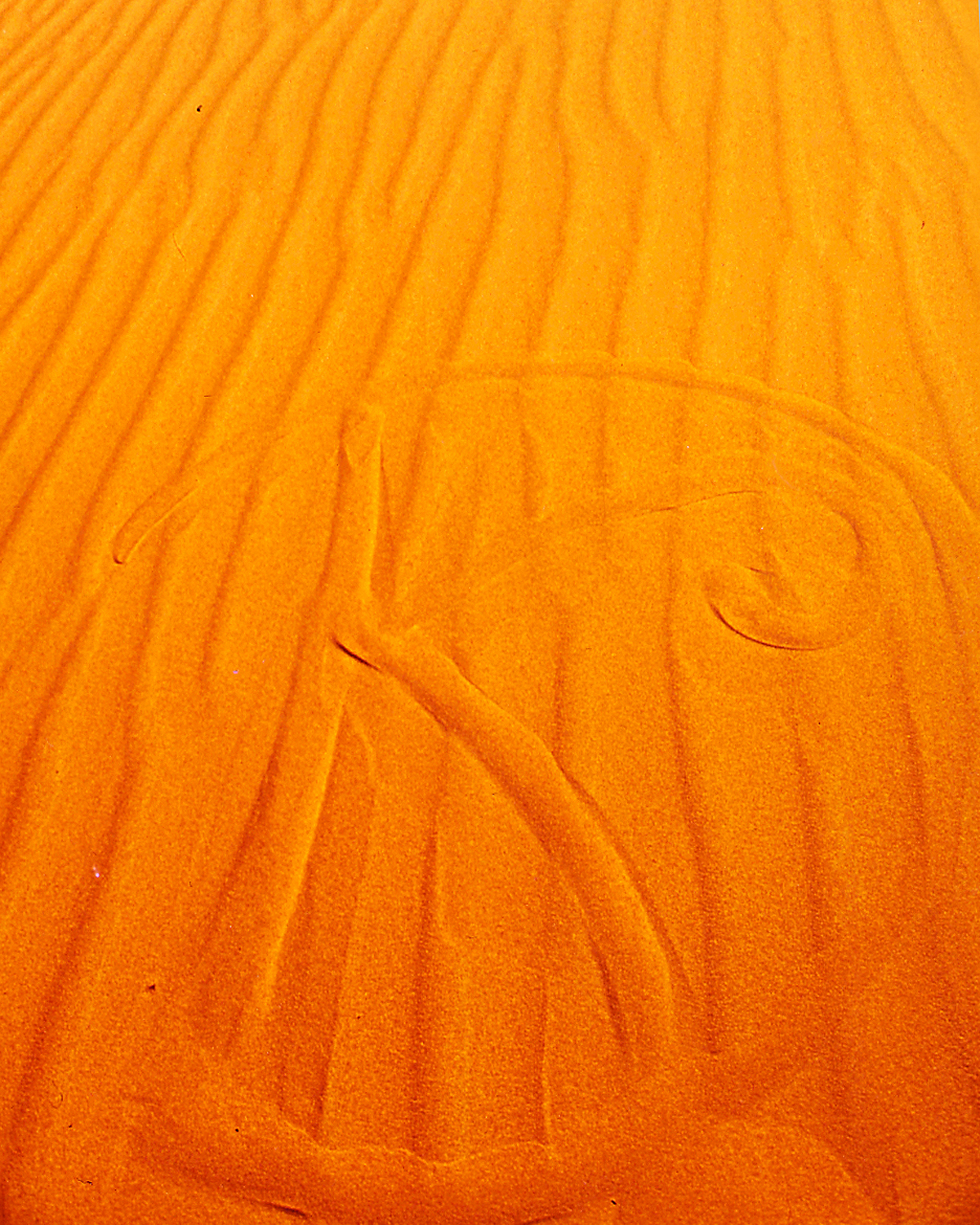 my initials in the Sahara sand, Southern Morocco 1995