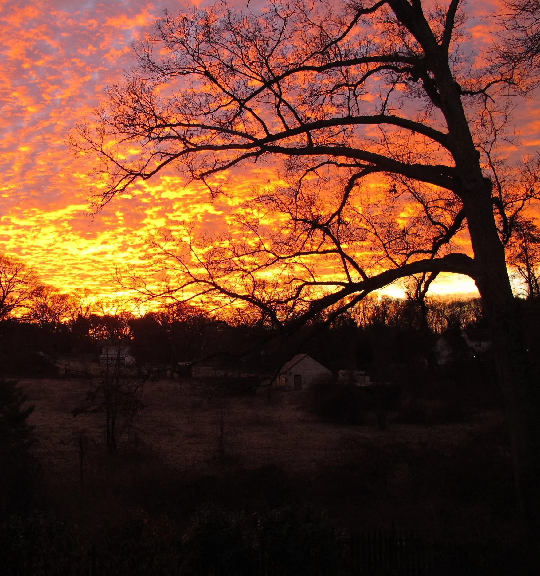 Marriage Enrichment Project #4 - Field Hospitals for Marriages