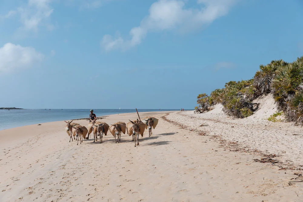 Donkeys are still the main mode of transportation on the island.