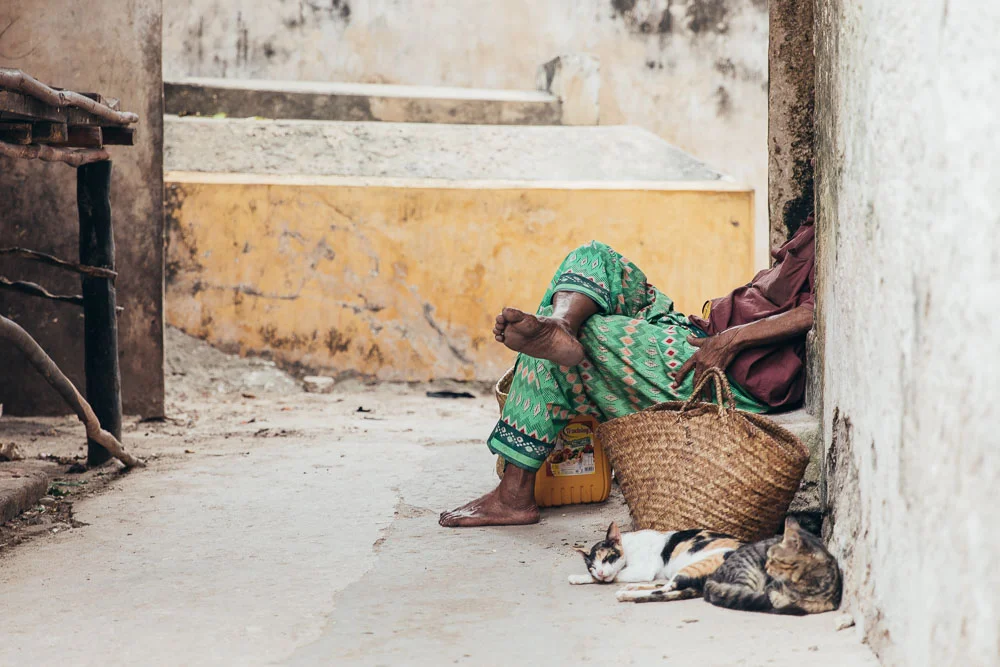 A man and his cats.