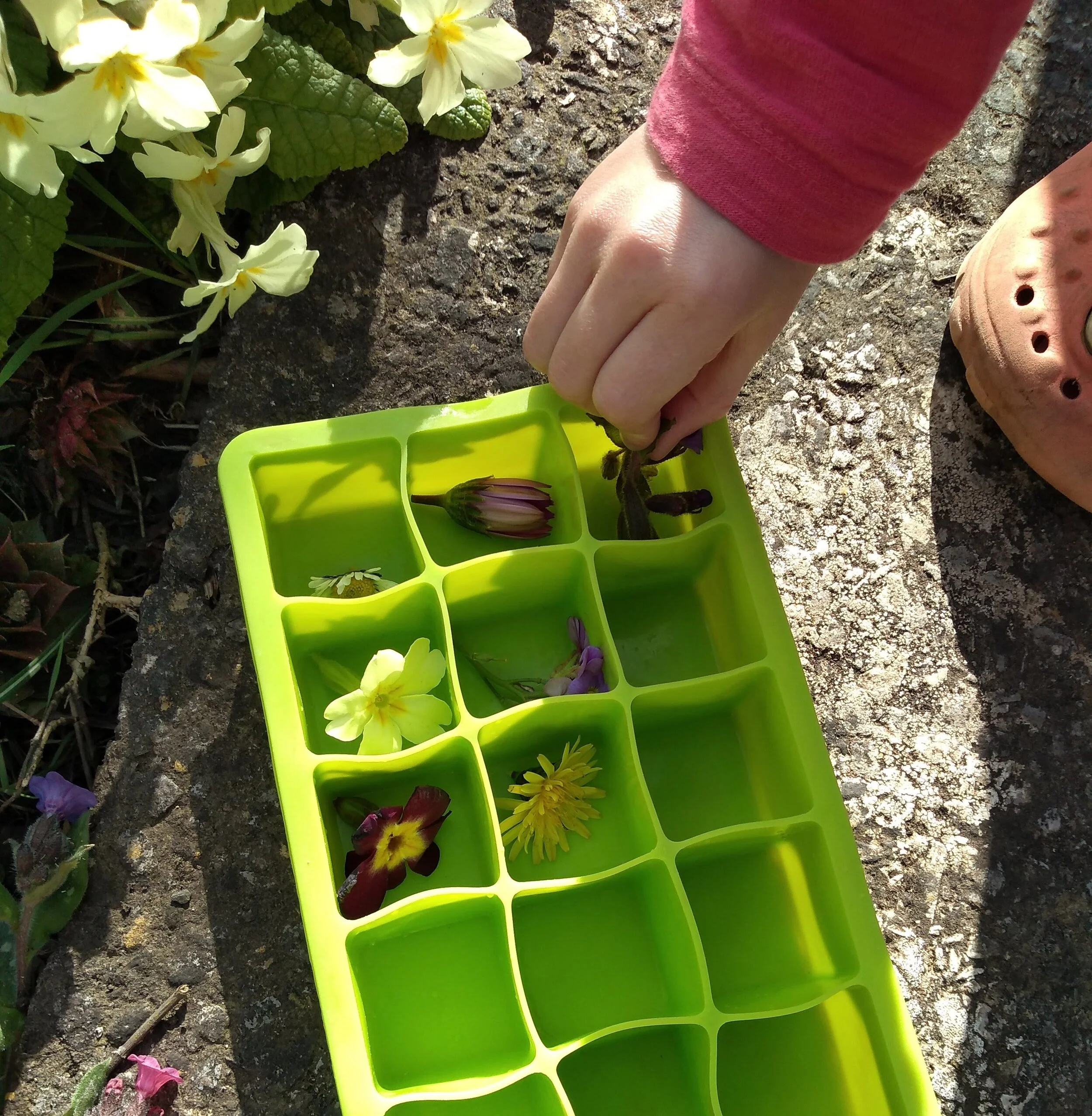 Lockdown Outdoor activities for kids — Earthwise