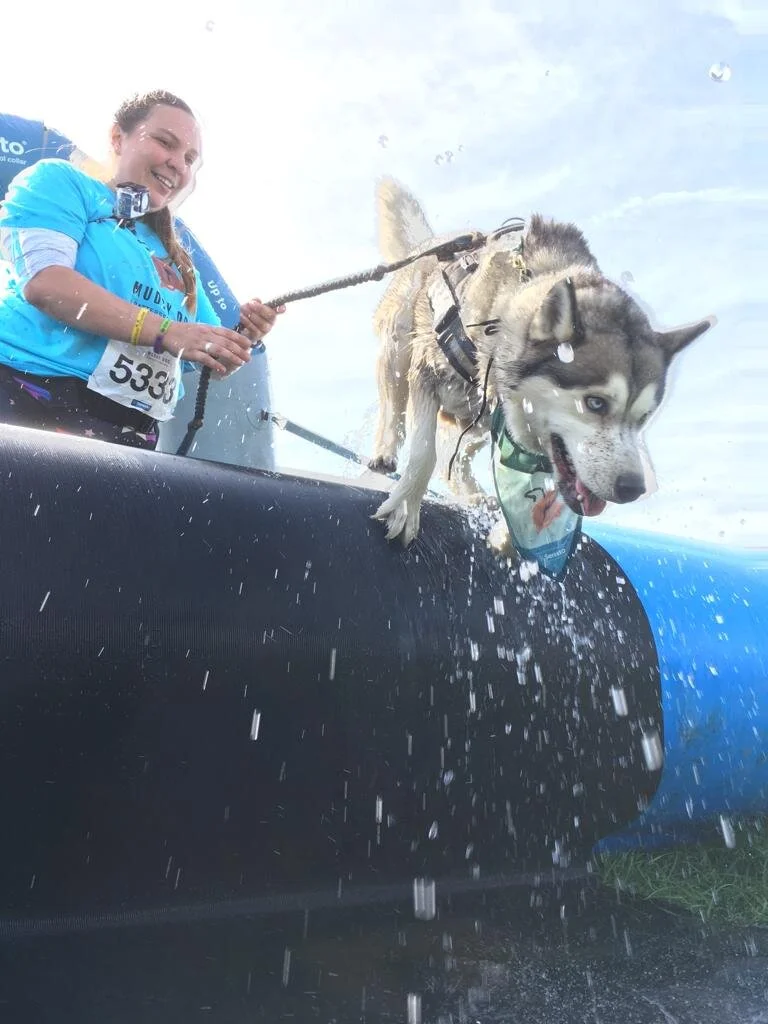 Muddy Dog Challenge, Battersea, Stansted