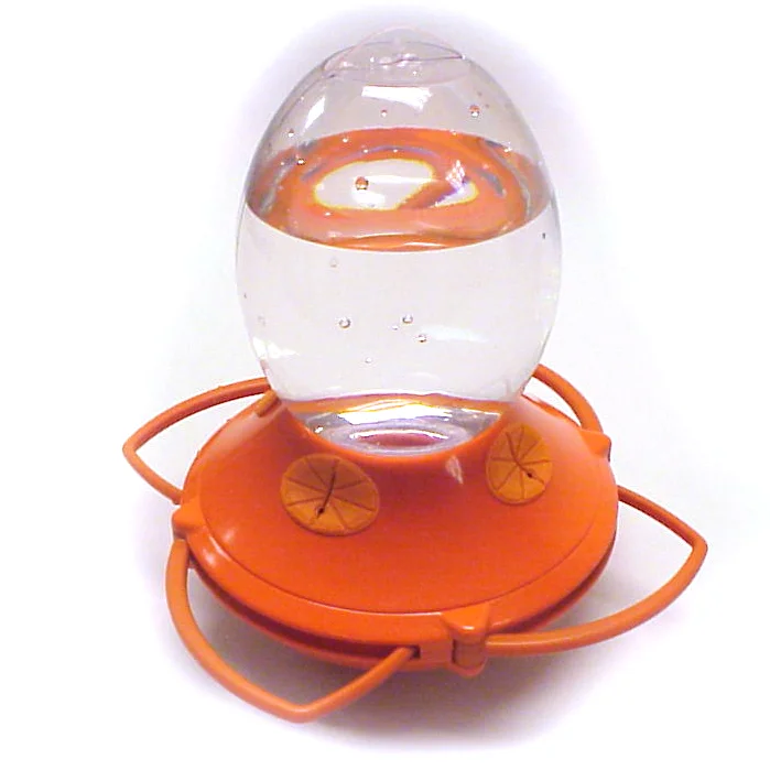 6290 oriole 01.jpg
