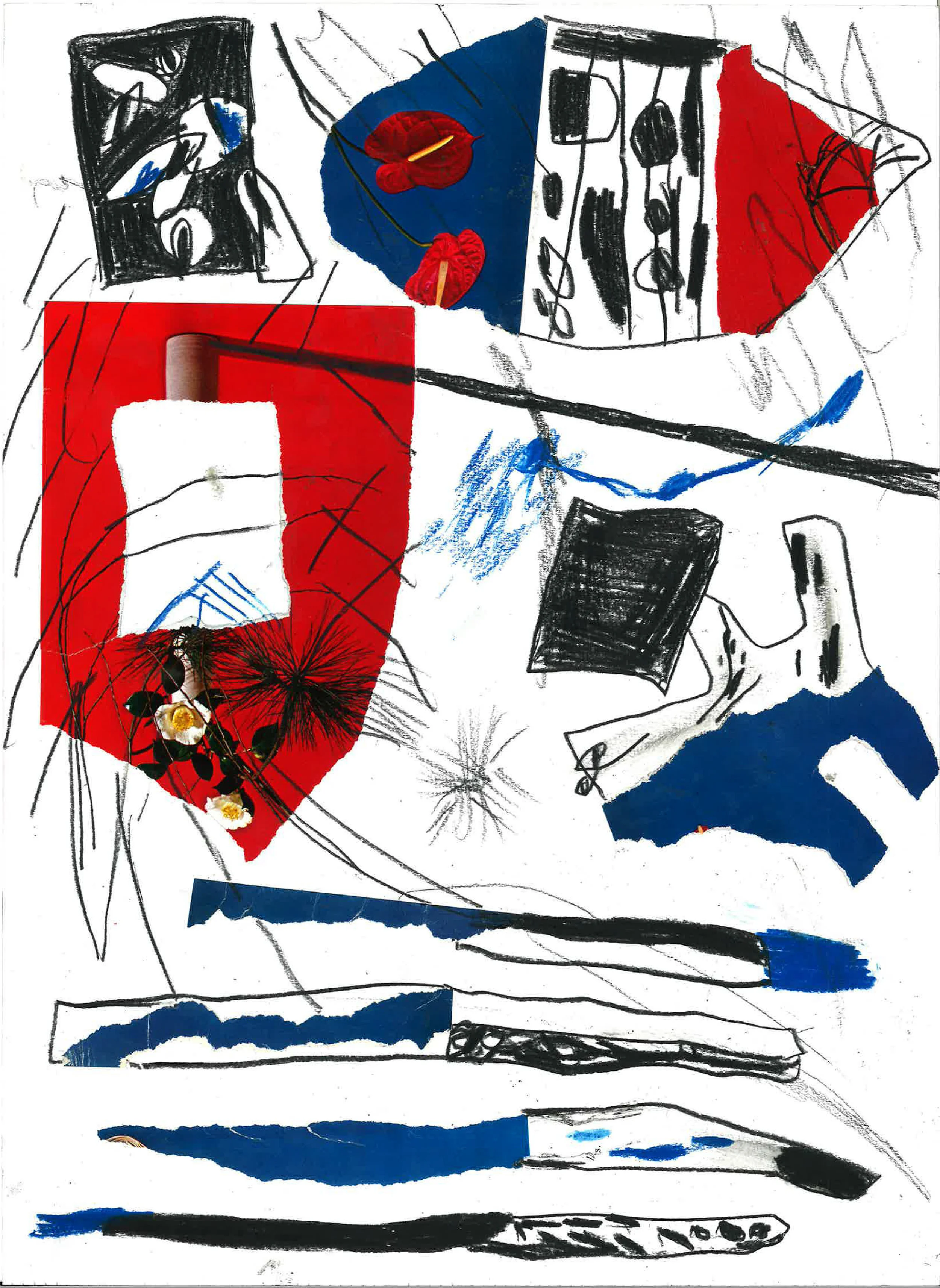 collage4.jpg
