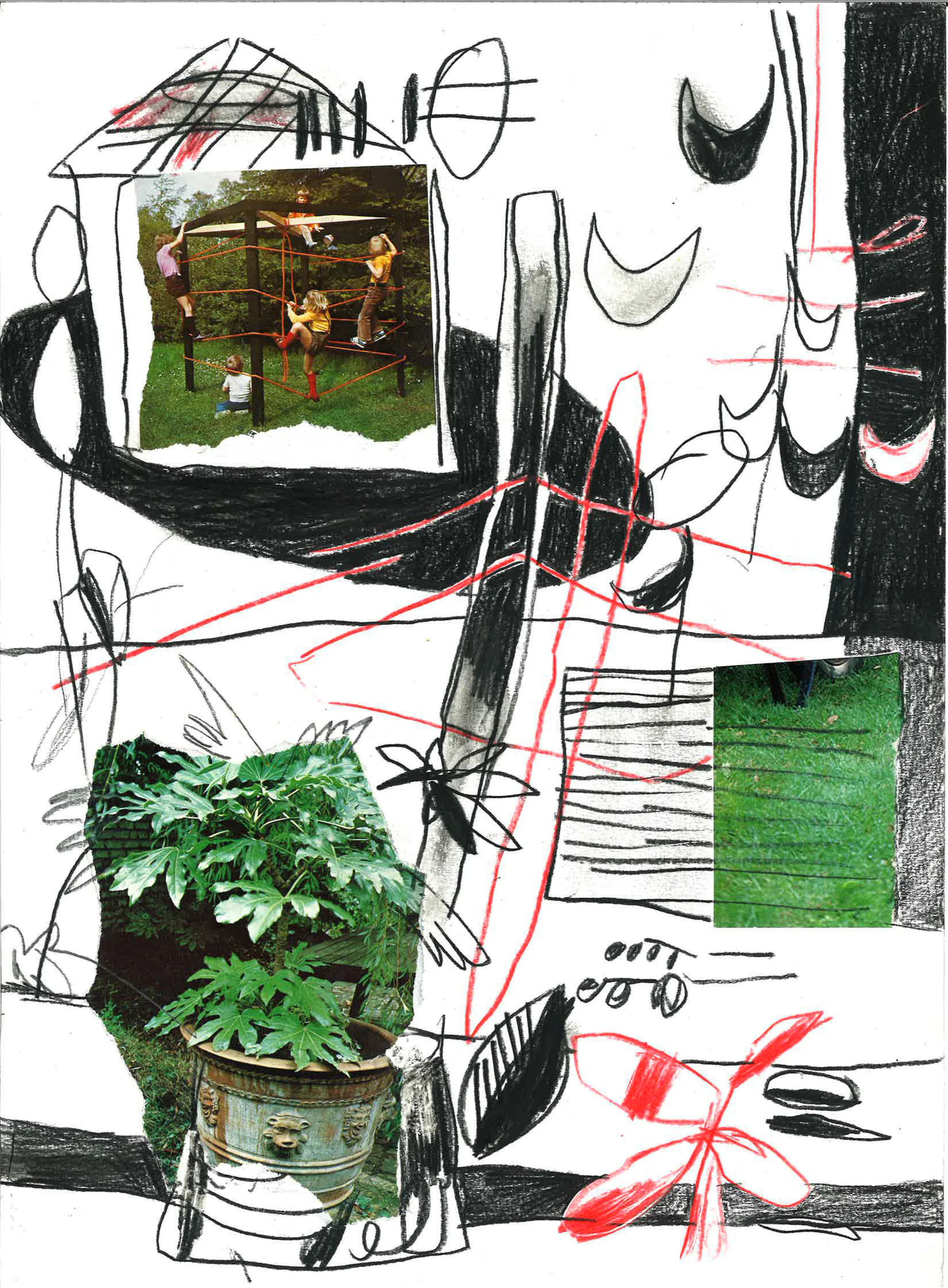collage5.jpg