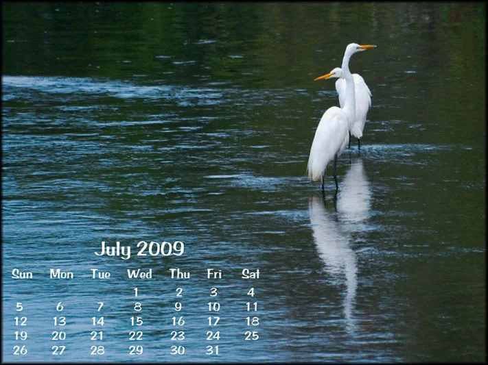 July Calendar 2009