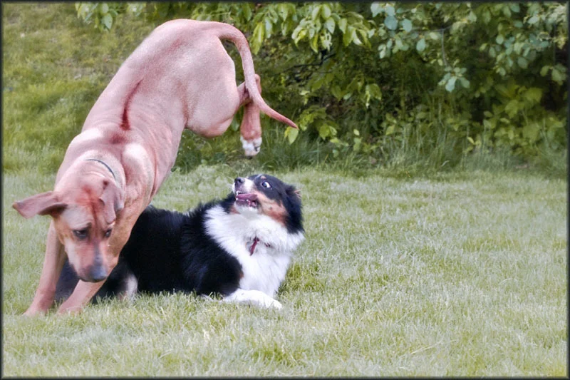 Leap of Faith