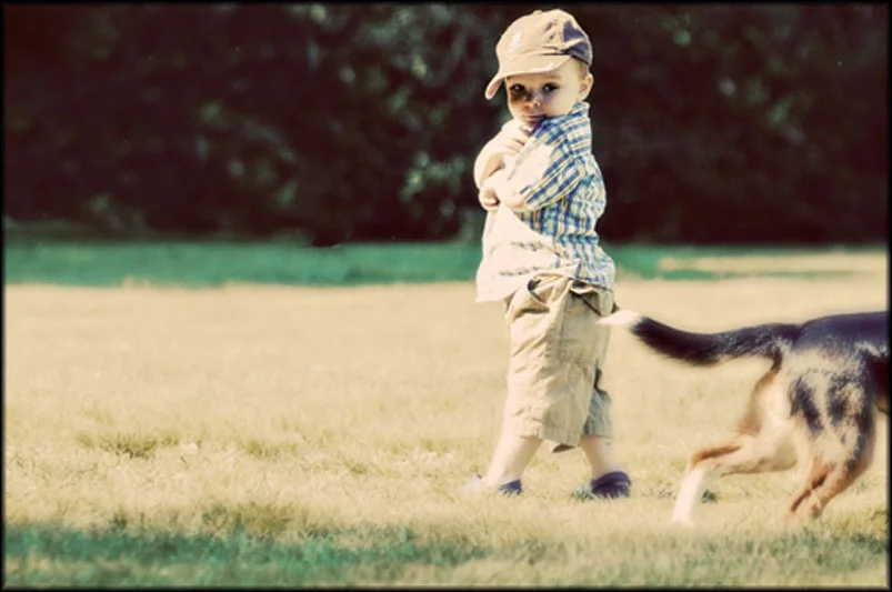 And Puppy Dog Tails