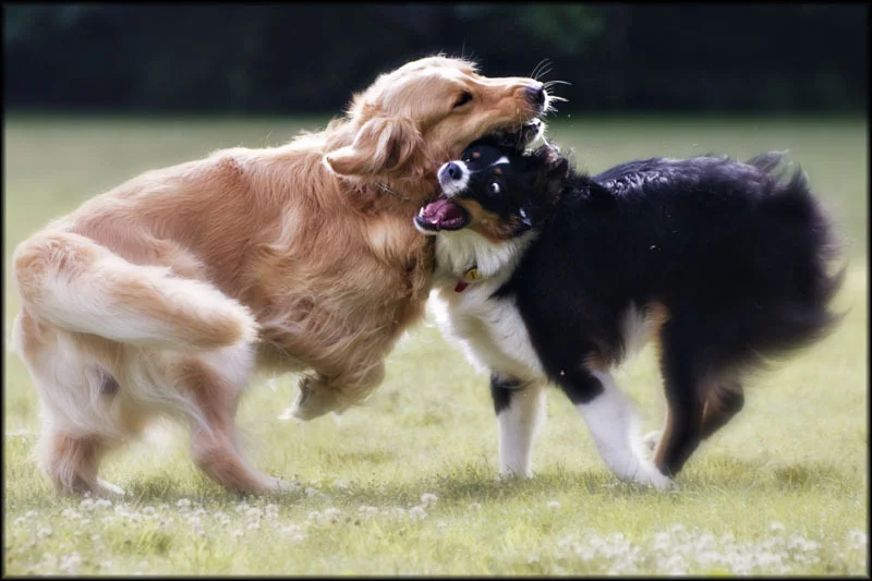 Clash of the Titans