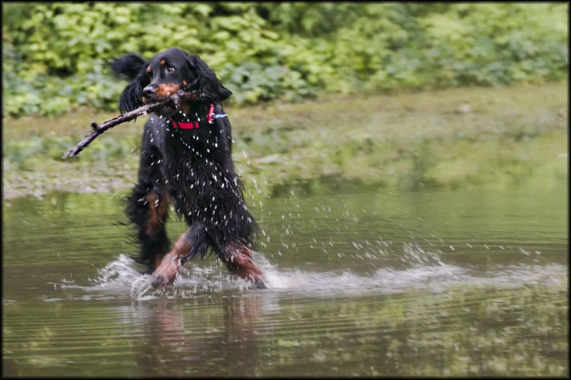 Rain Man