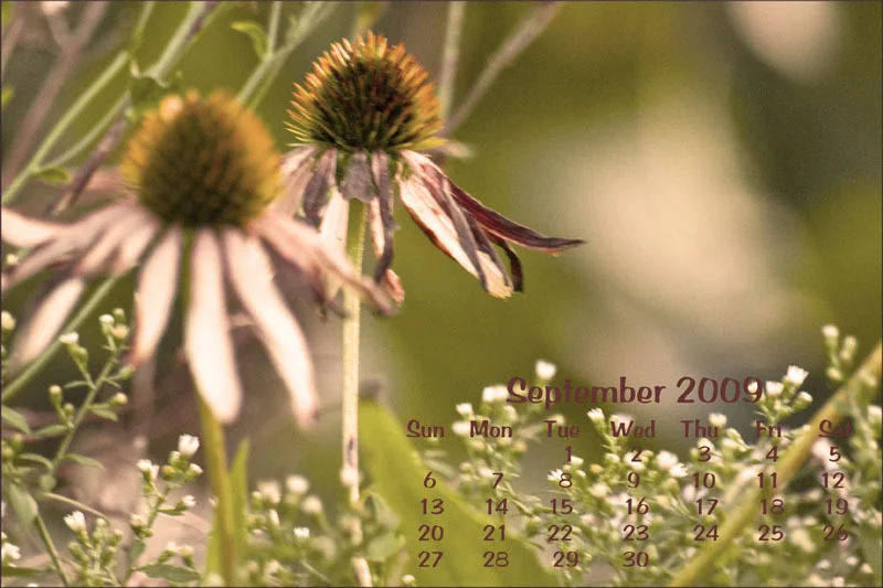 September Calendar 2009