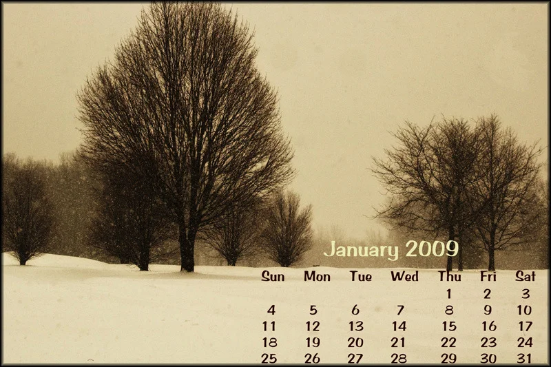 January Calendar 2009
