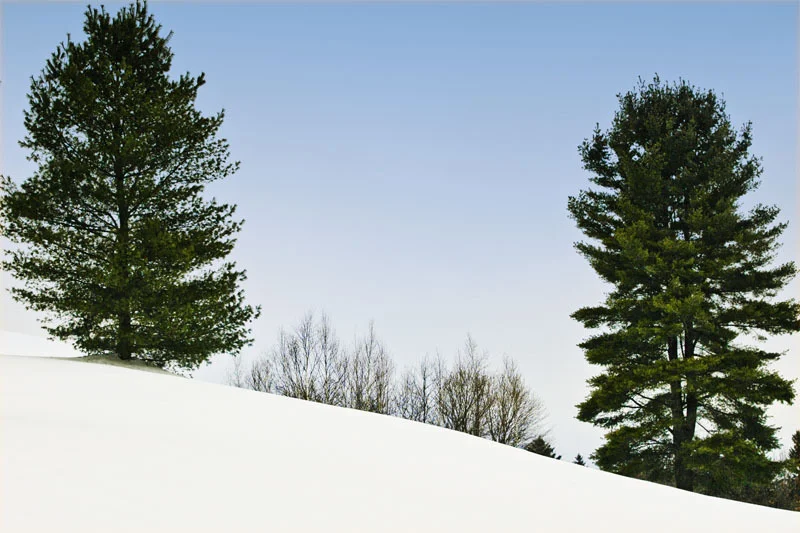 Over The Hill