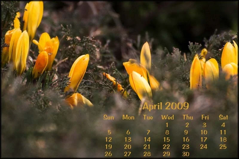 April Calendar 2009