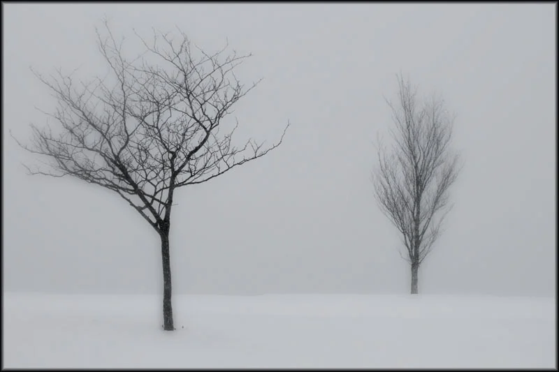 Two Solitudes