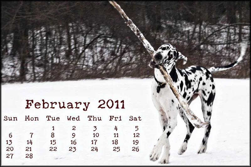 02387pxp.February_Calendar_2011.jpg