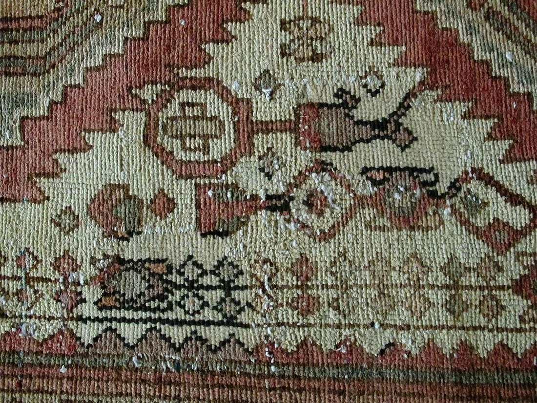 IMG_8055.jpg