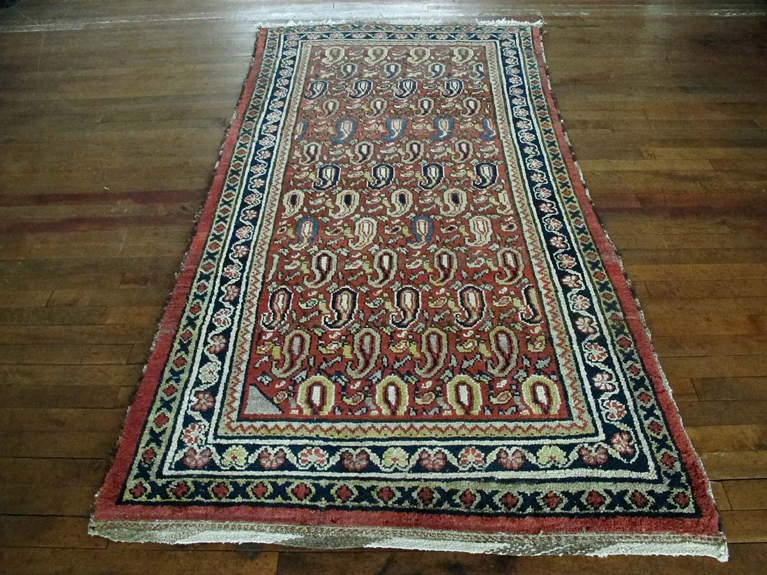 Persian Malayer Rug 3'7"x7'1"