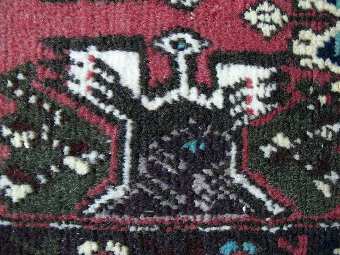 IMG_9803.jpg