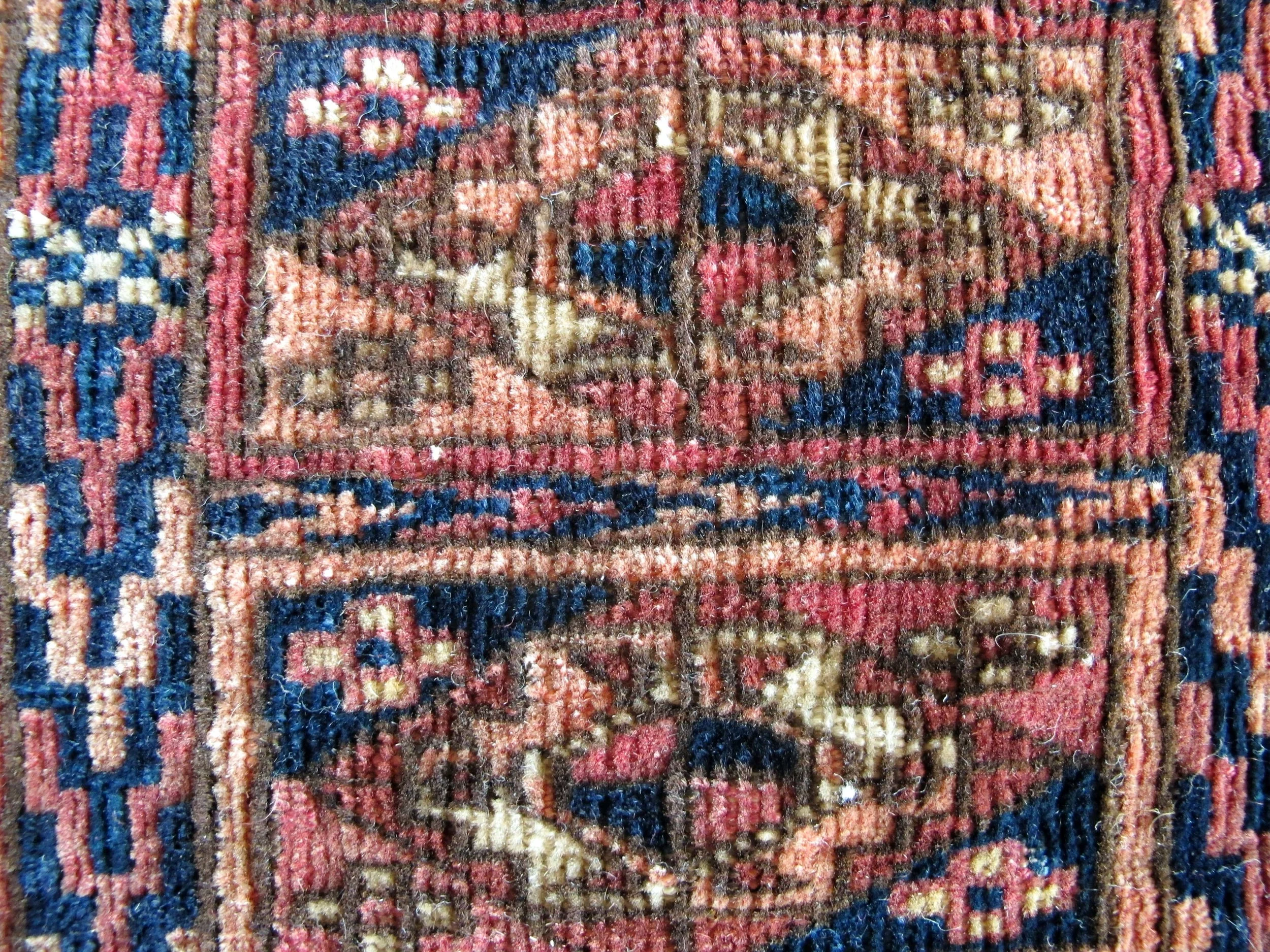 IMG_0352.jpg