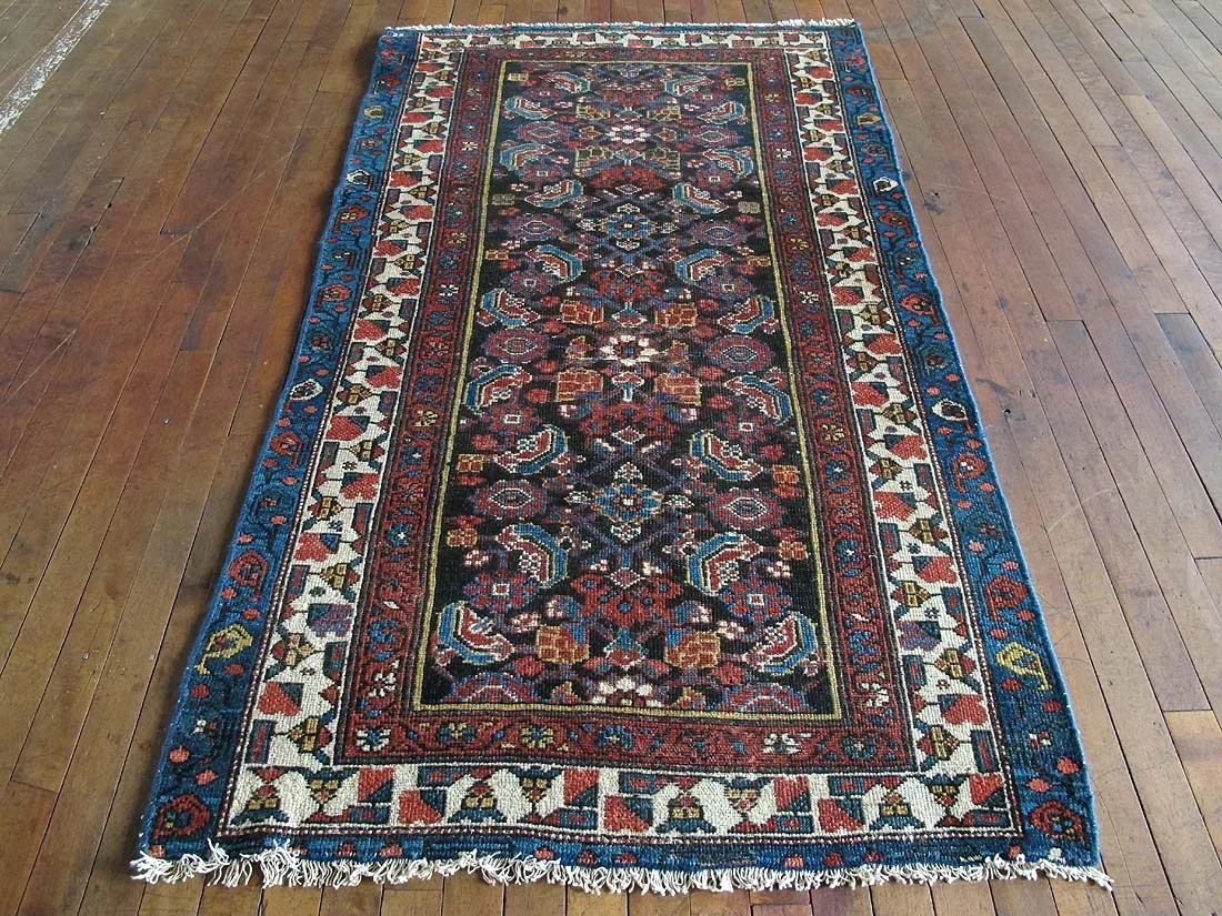 Persian Malayer Rug 3'3"x5'9"