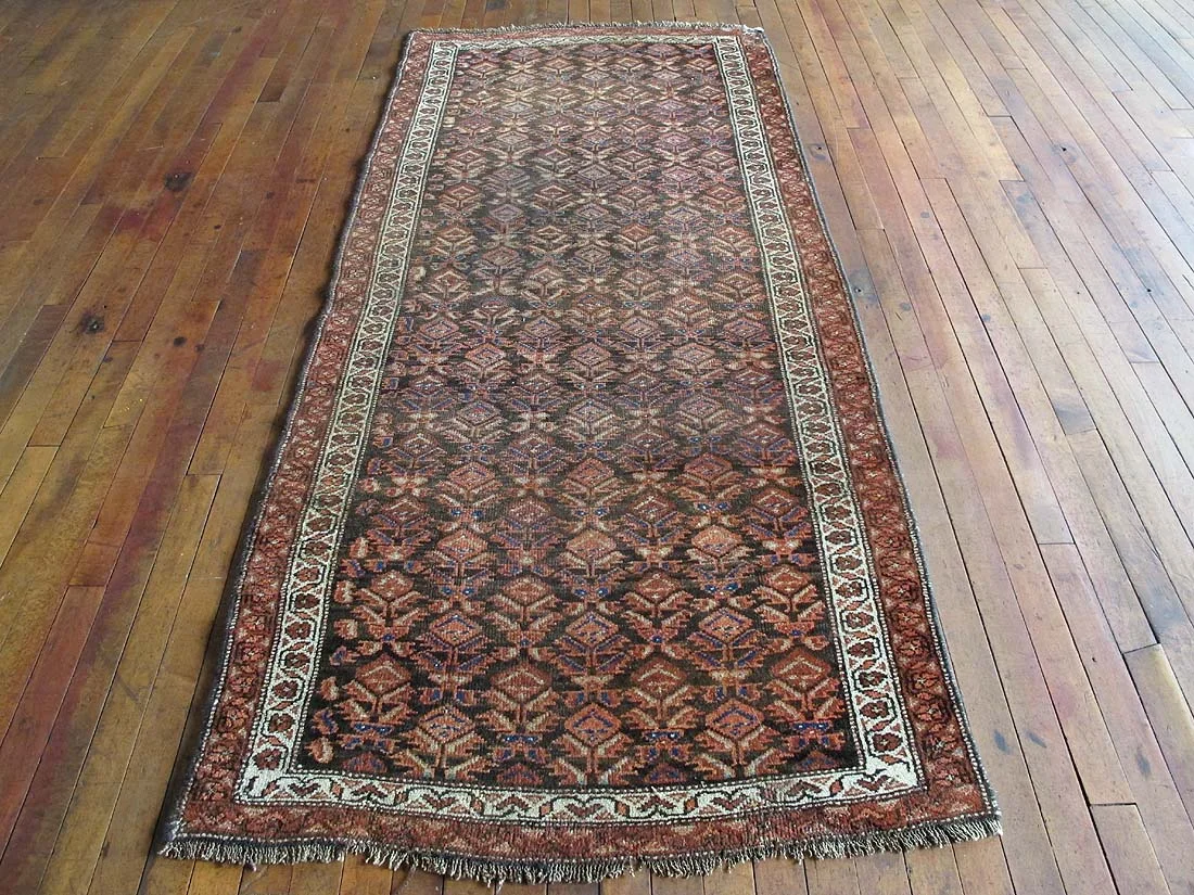 Persian Malayer Rug 3'1"x6'10"