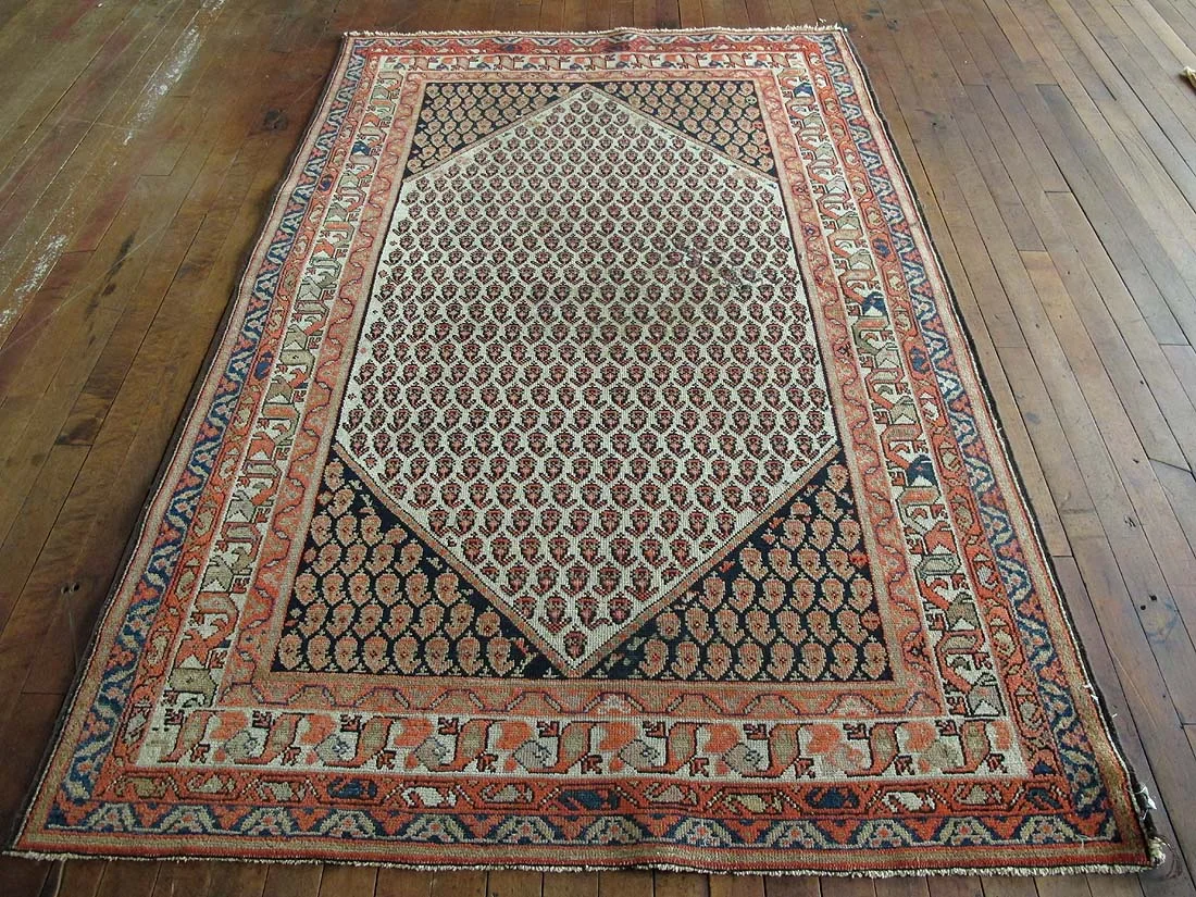 Persian Malayer Rug 4'1"x6'4"