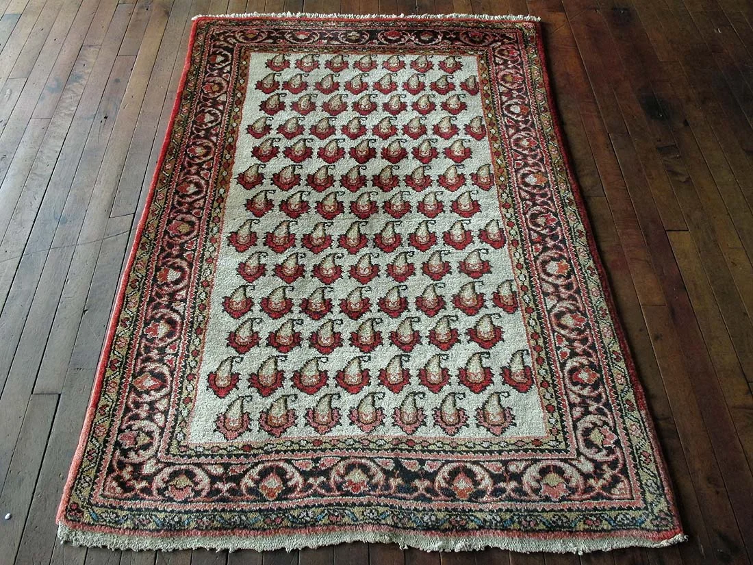 Persian Malayer Rug 3'5"x5'0"