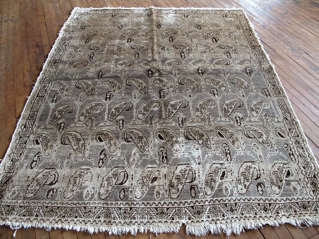 Antique Persian Afshar Rug 5'8"x7'1"