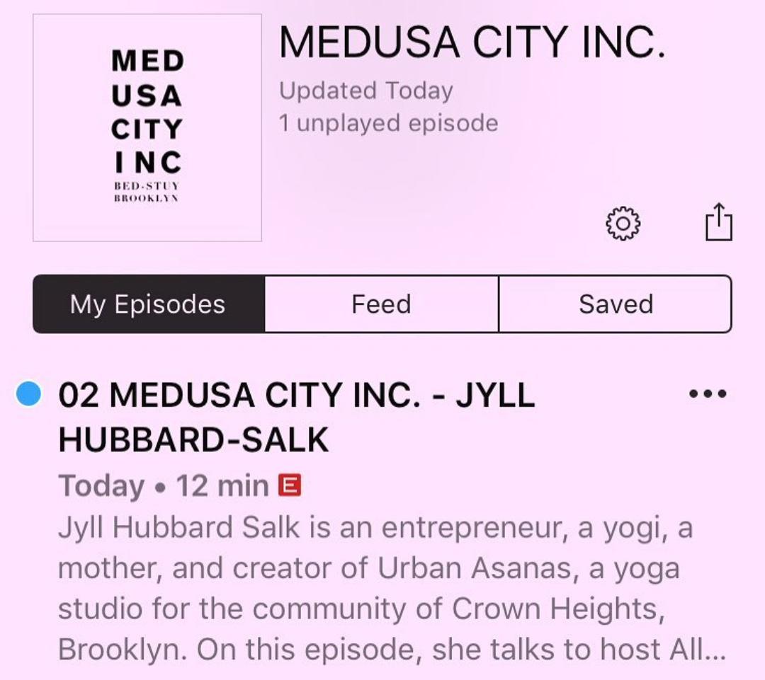 "Episode 2 - An Interview With Jyll Hubbard- Salk" - Featured on Medusa City Inc. Podcast