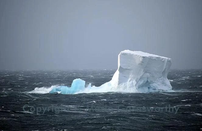 Iceberg in a Gale, Ross Sea, Antarctica Copyright © Marlo Garnsworthy