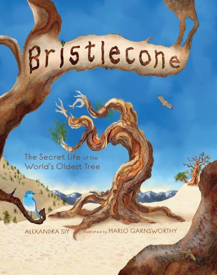 Bristlecone+cover.jpeg