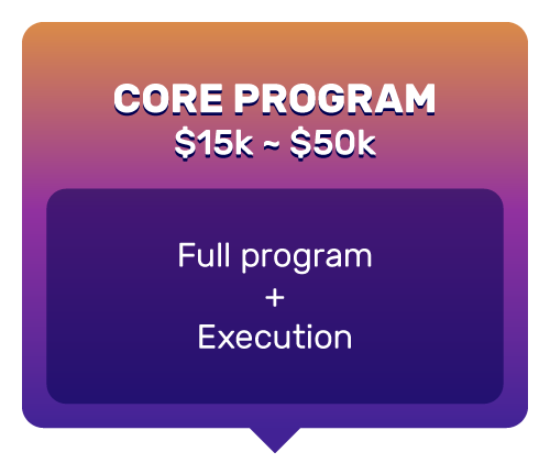 Core Program ($15k to $50k): Full program + execution