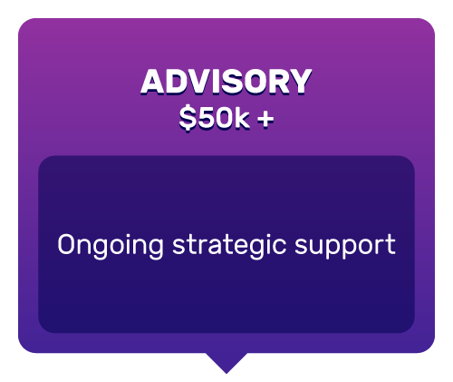 Advisory ($50k +): Ongoing strategic support