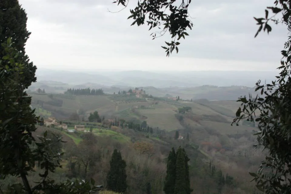 View of countryside near San Gimignano, 2014.