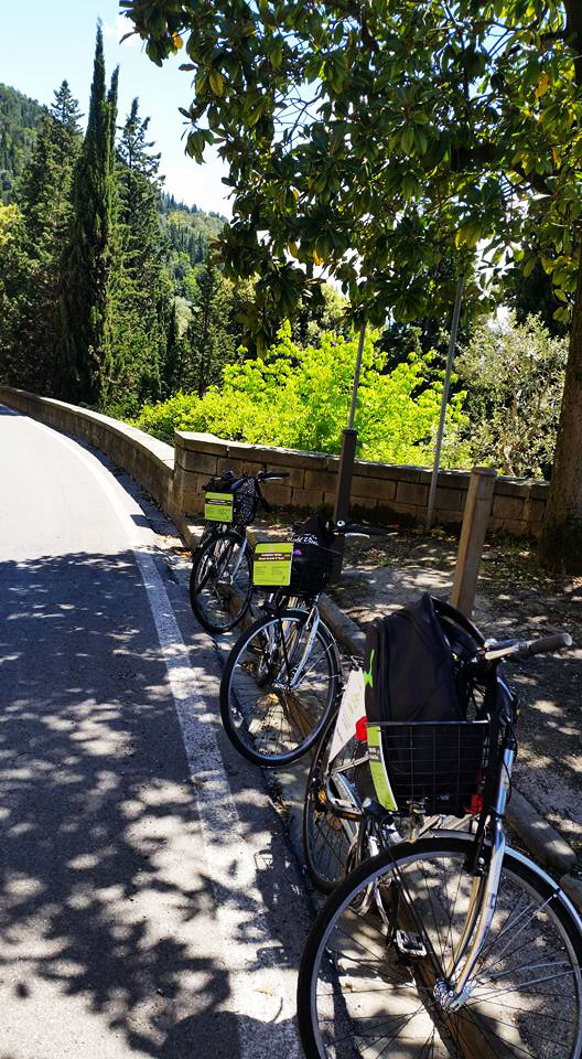 fiesole bike tour_2.jpg