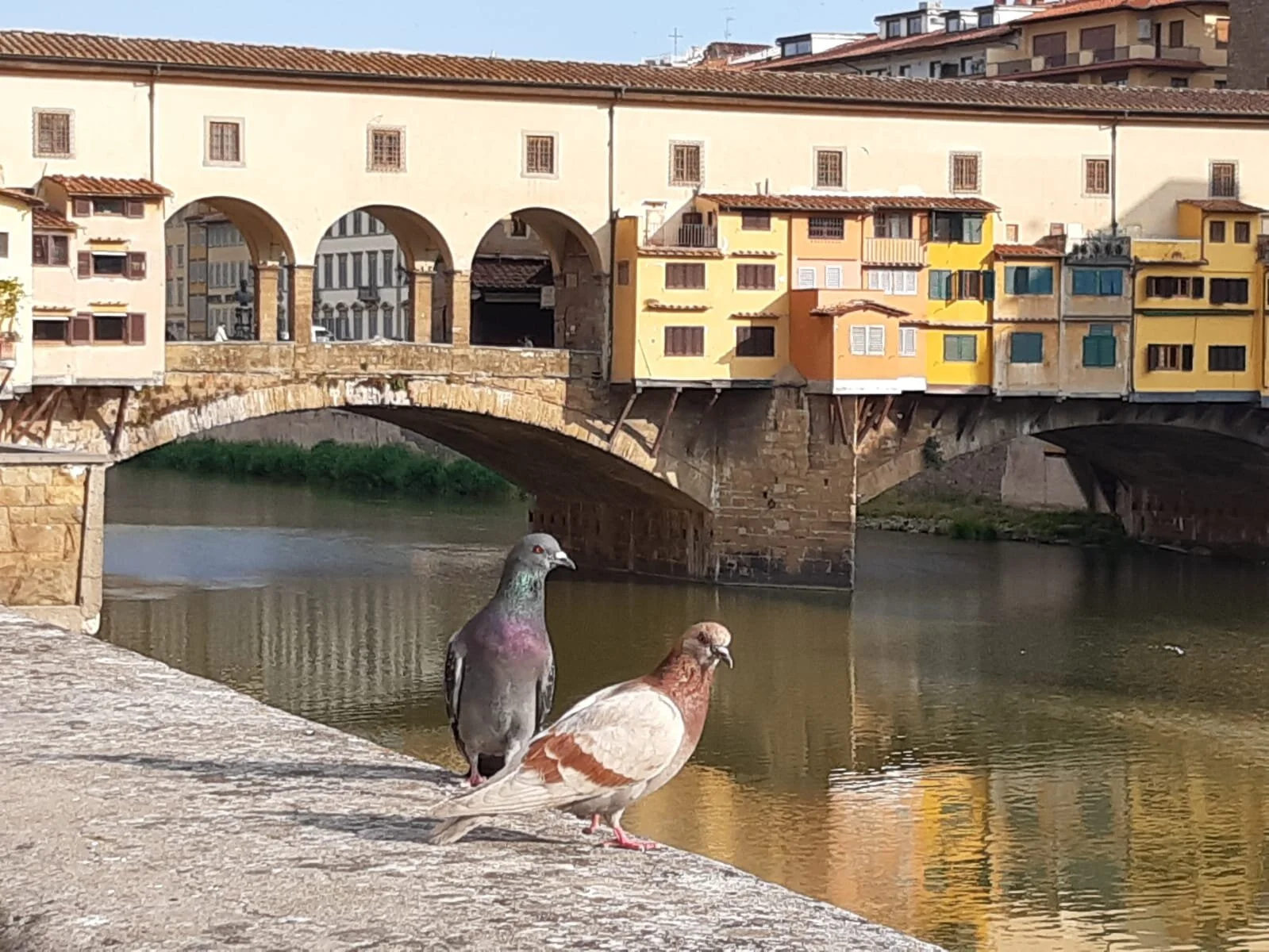 WhatsApp Image 2020-07-20 at 19.39.20.jpeg