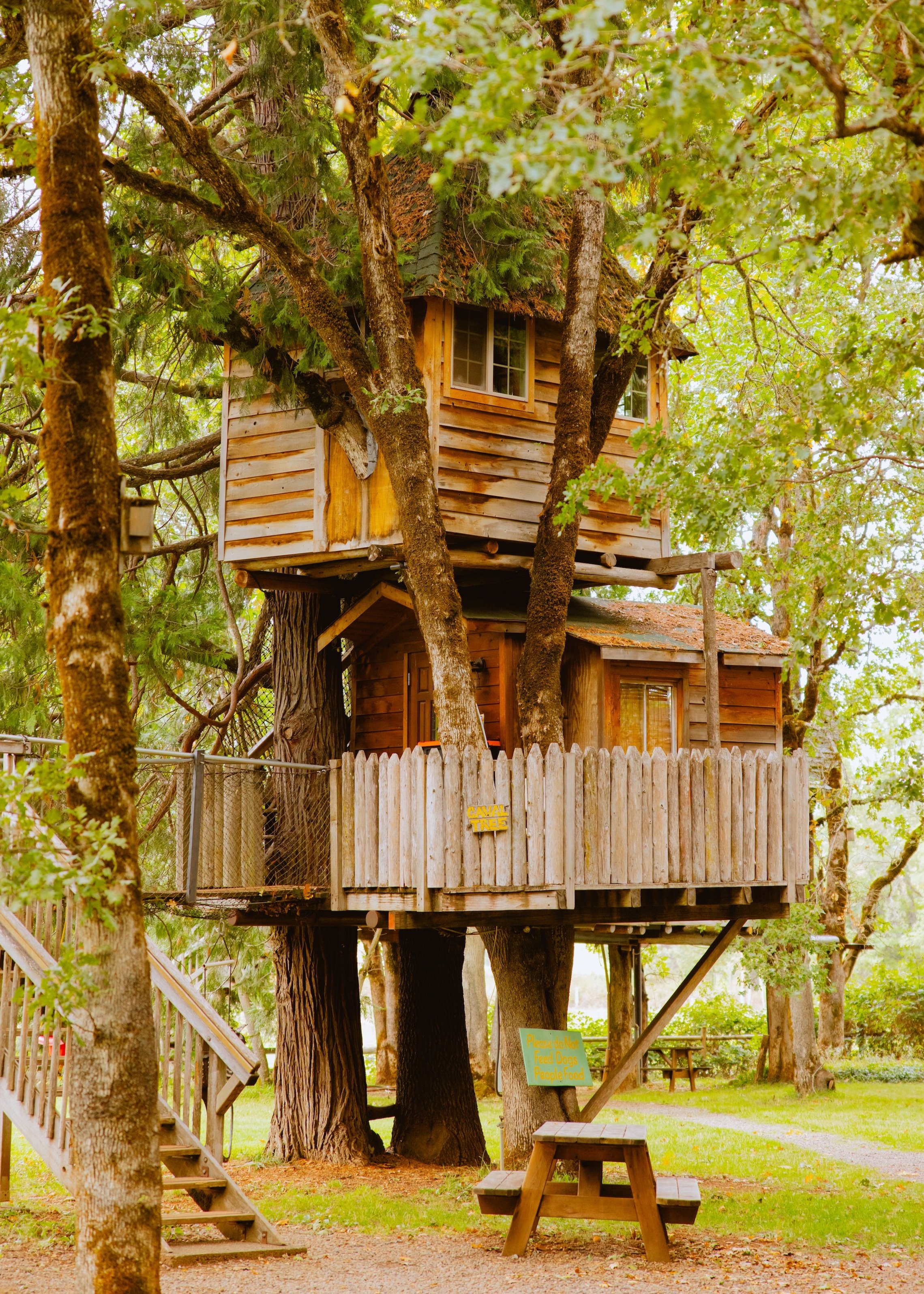 treehouse_oregon.jpg