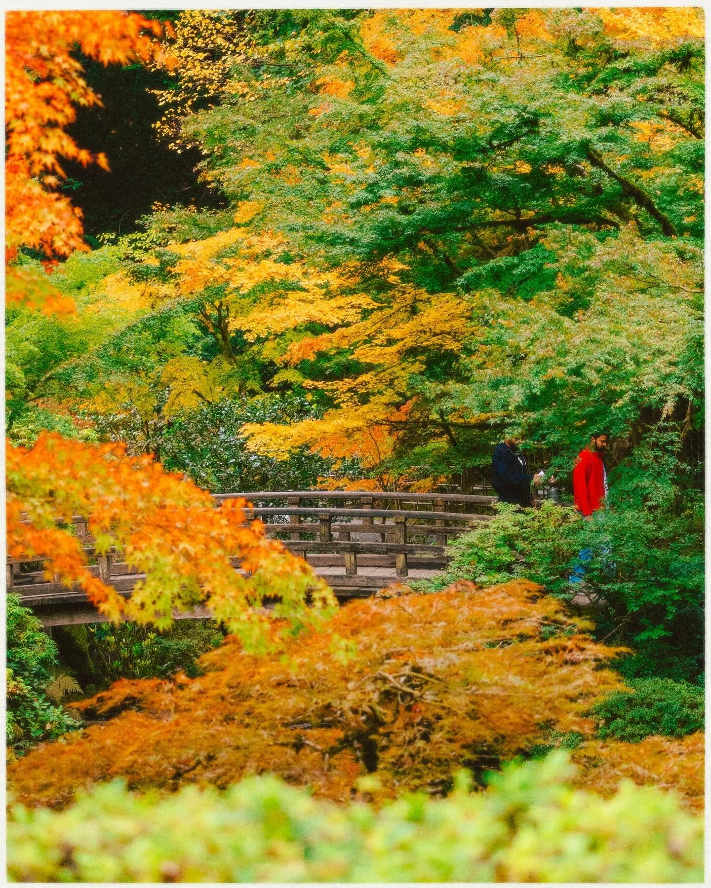 Late October in the the Japanese Garden