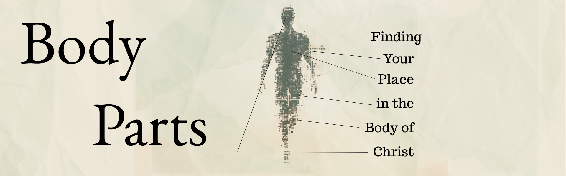 Body Parts Series Banner.png