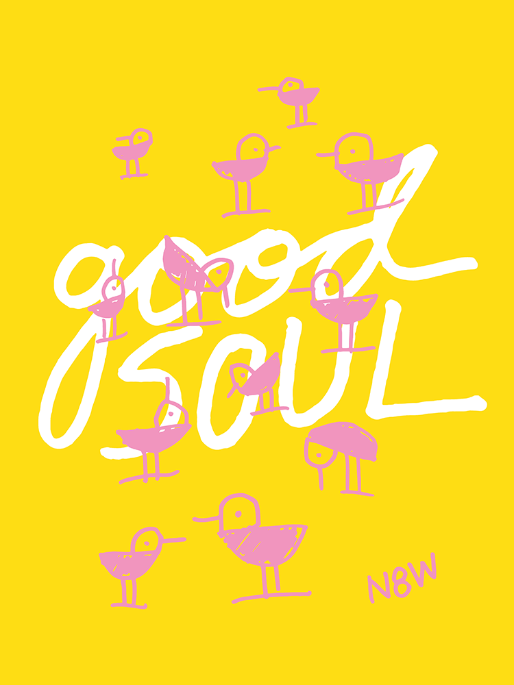 Good Soul - Pink Birds