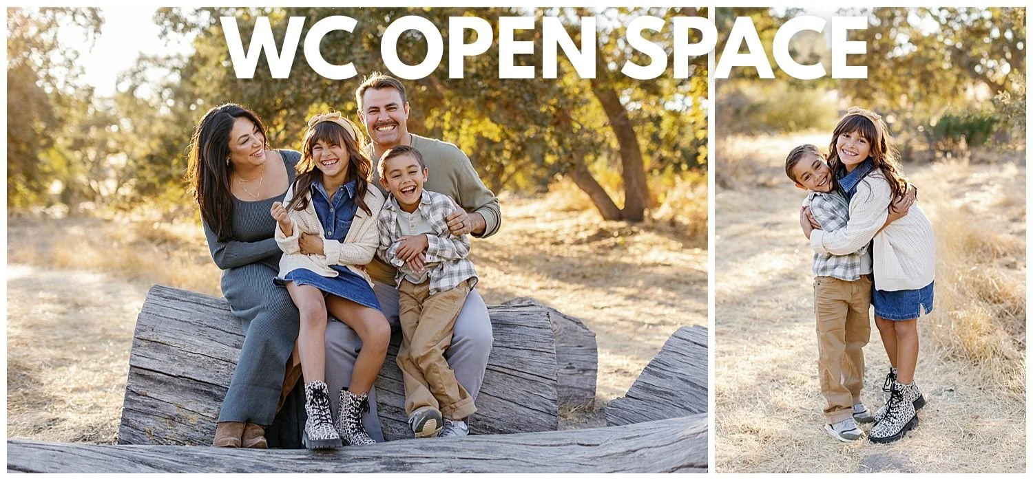 WCOPENSPACE.jpg