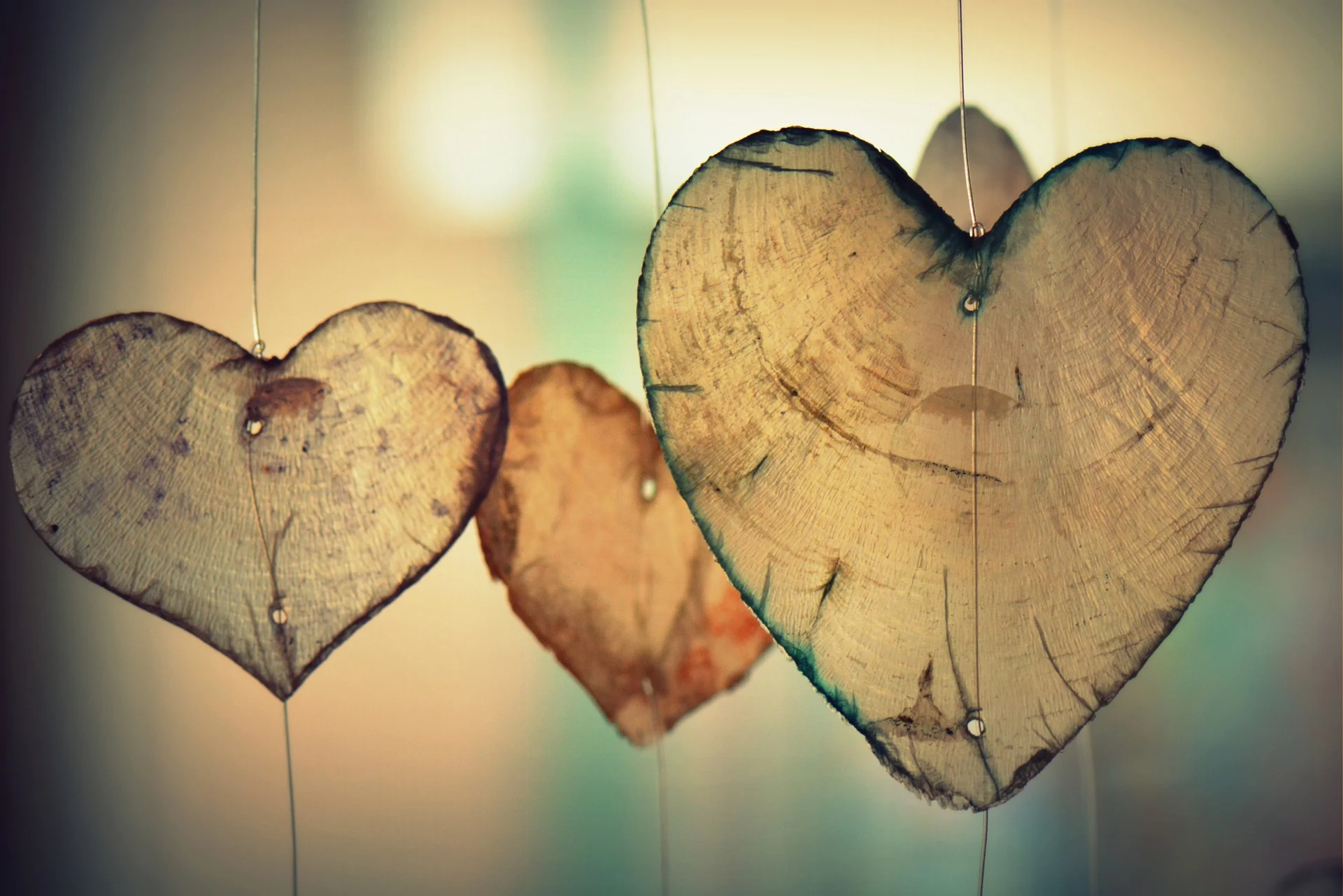 Polyamorous relationships are those where there is an emotional, intimate, and loving connection between multiple partners. Open relationships are monogamous relationships with lax rules around intimacy with others.