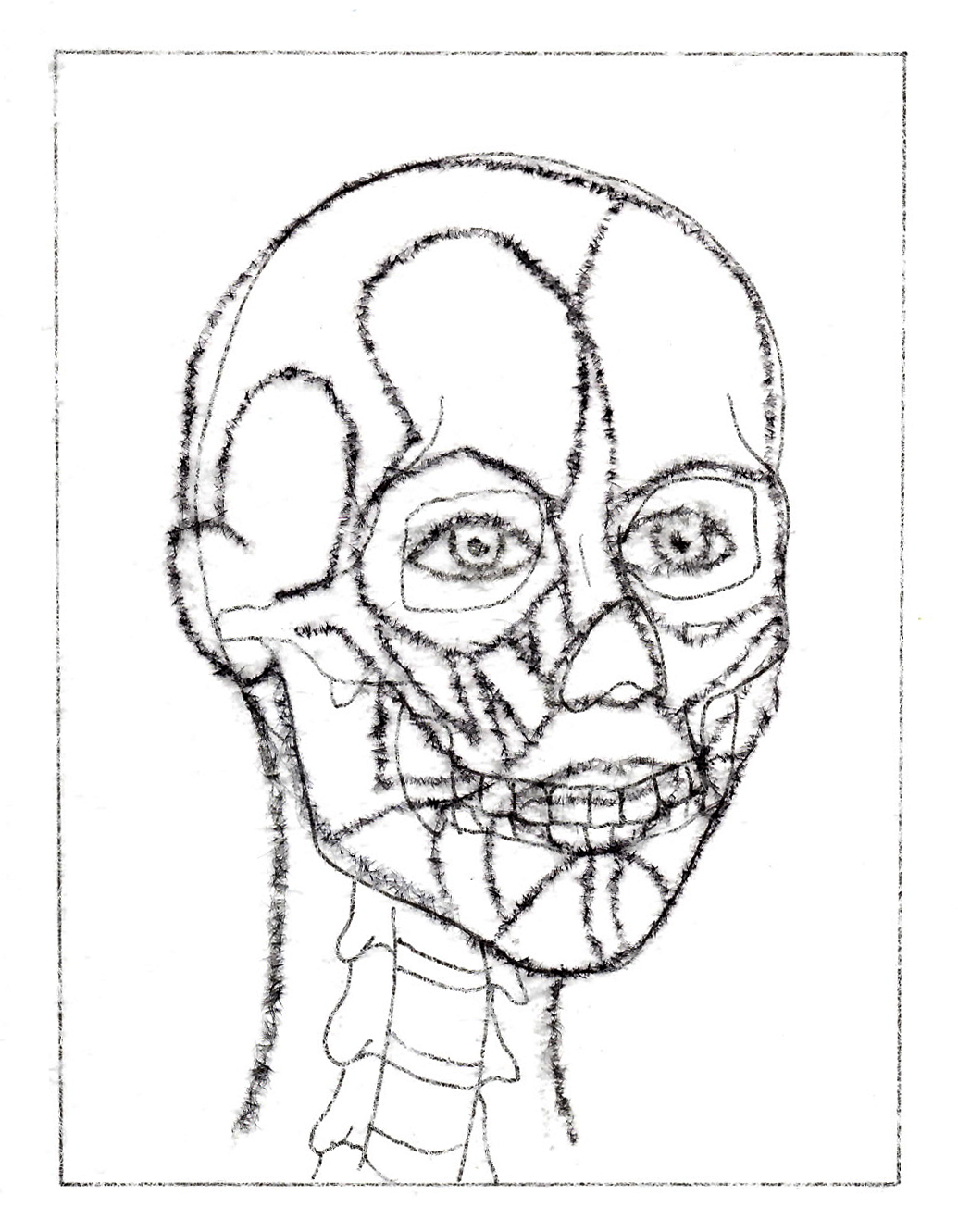 Layered Study