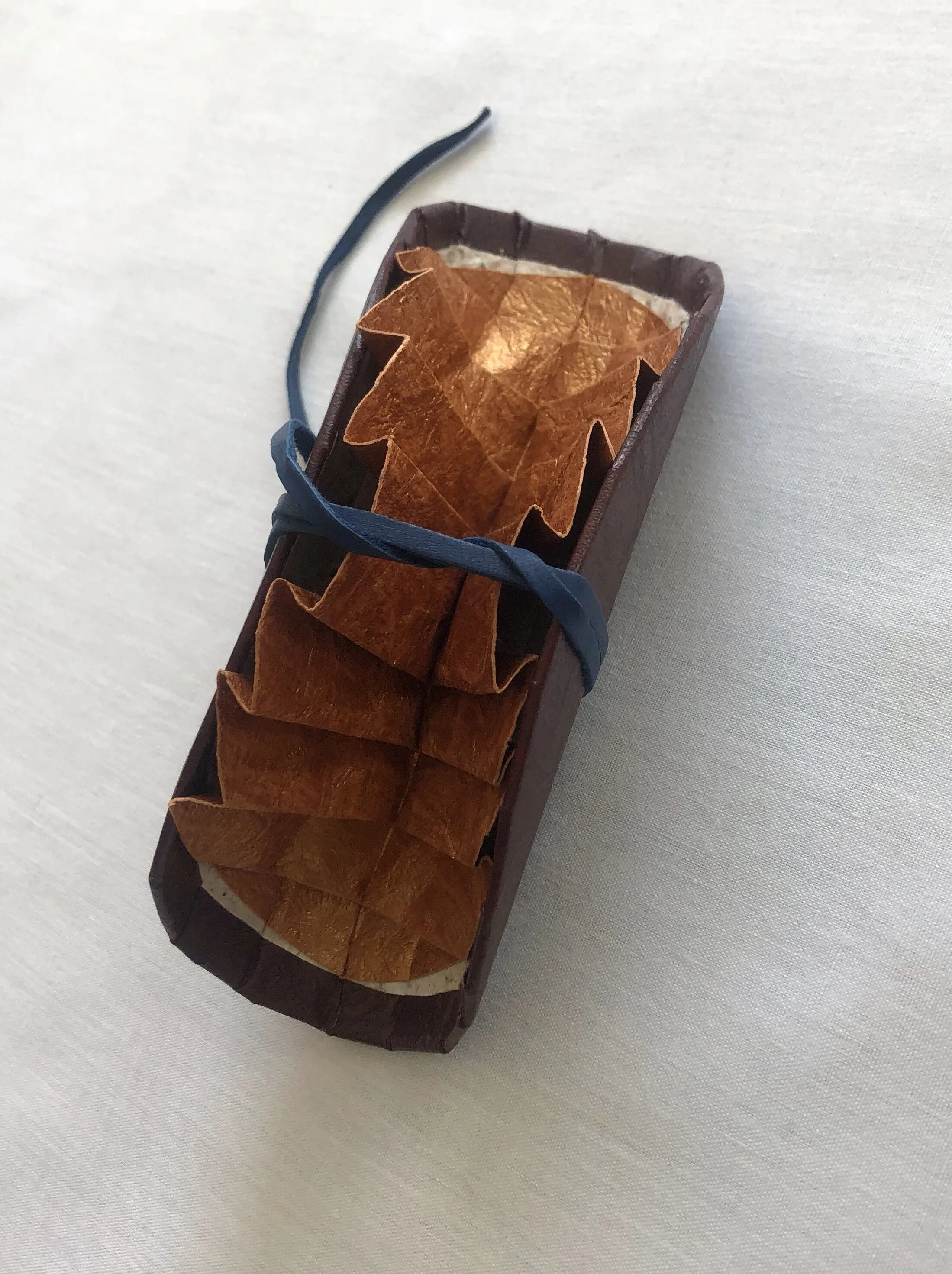 Satellite (Closed View)